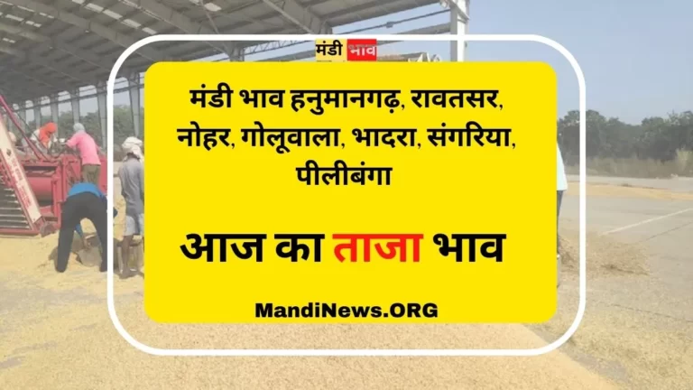 मंडी भाव हनुमानगढ़, रावतसर, नोहर, गोलूवाला, भादरा, संगरिया, पीलीबंगा 10 अप्रेल 2023