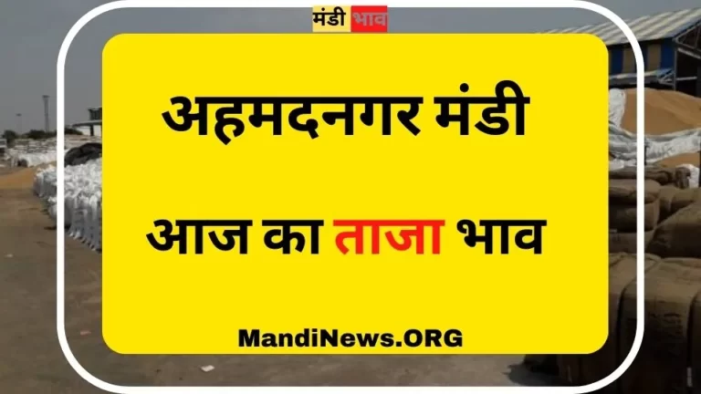 मंडी भाव 14 जून 2023: दाहोद, भाटापारा, सिवानी, महोबा, रायपुर आदि