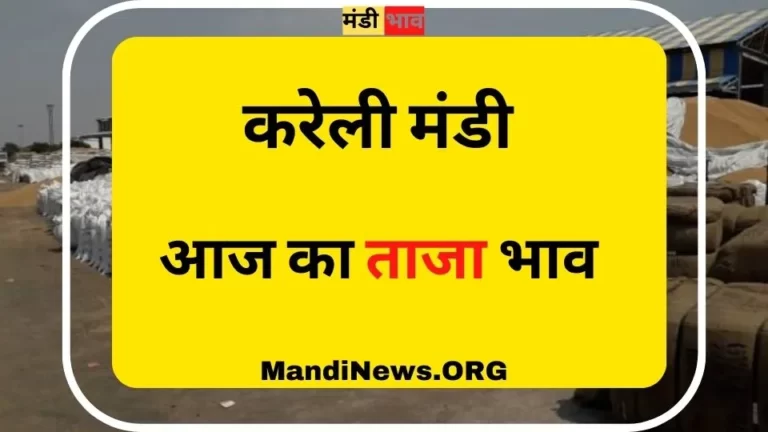 करेली मंडी 11 जुलाई 2023: आज का ताजा अनाज मंडी भाव
