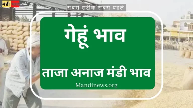 गेहूं भाव 08 अप्रैल 2023: देश की अनाज मंडियो में आज का ताजा भाव