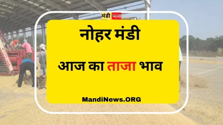 नोहर मंडी 05 अप्रेल 2023 का ताजा अनाज मंडी भाव