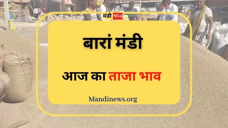 बारां मंडी 06 मार्च 2024: अनाजो का ताजा भाव रिपोर्ट और भावो की पर्ची देखे