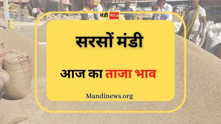 सरसों भाव 05 जुलाई 2023 : आज का ताजा भाव देखे