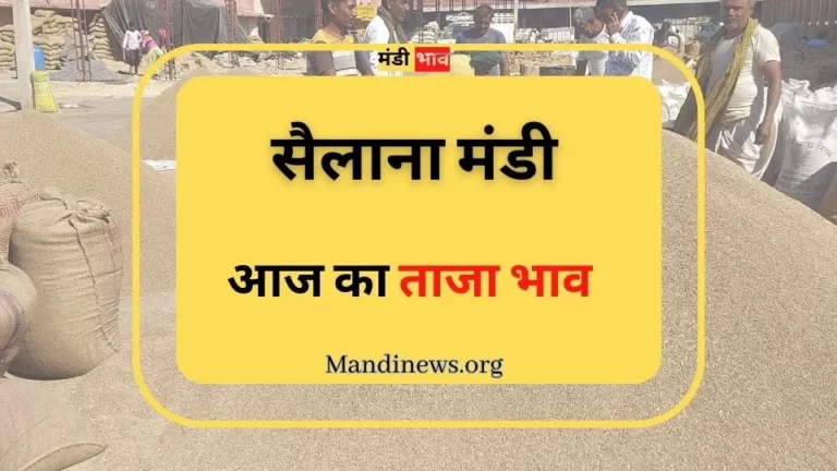सैलाना मंडी 03 जुलाई 2023: अनाजो के ताजा भाव रिपोर्ट