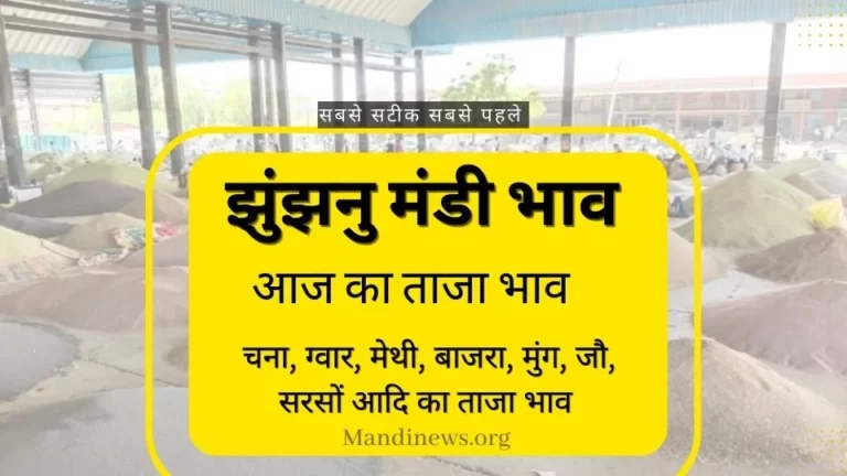 झुंझुनूं मंडी 02 अगस्त 2023: सूरजगढ़, गुढ़ा, मुकुंदगढ़ मंडी भाव रिपोर्ट
