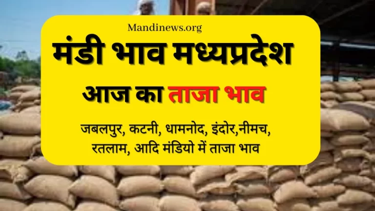 जबलपुर, कटनी, इंदौर, सागर मंडी भाव 29 मई 2023: ताजा अनाज मंडी भाव रिपोर्ट