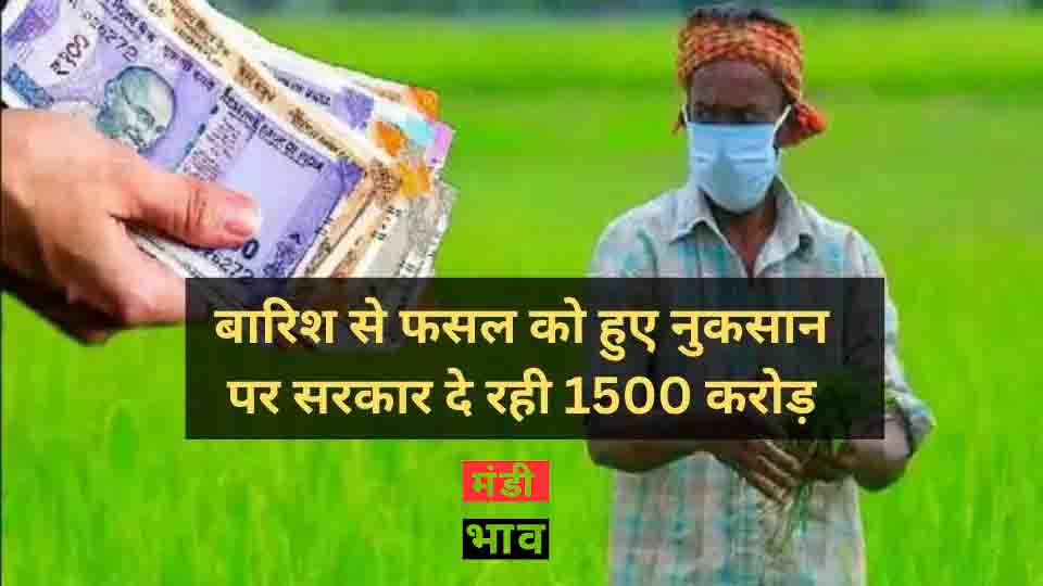 बारिश से फसल को हुए नुकसान की भरपायी के लिए सरकार ने जारी किए 1500 करोड़ रुपए, इस दिन आयेगे खाते में..