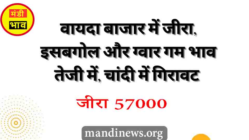 Ncdex वायदा बाजार में आज जीरा 57000,ग्वार गम में भी अच्छी तेजी, Mcx में चांदी के भाव गिरावट में, ताजा रिपोर्ट देखे