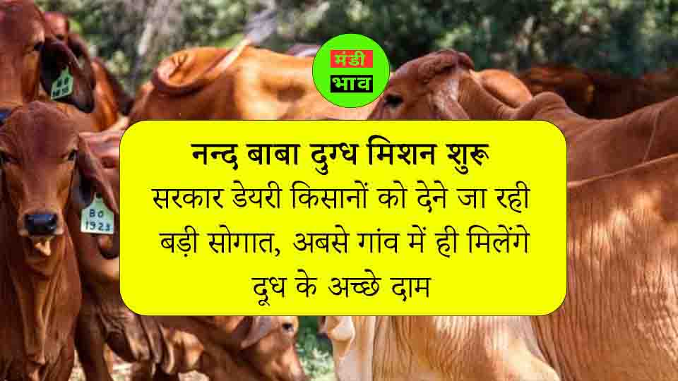 सरकार डेयरी किसानों को देने जा रही बड़ी सोगात, अबसे गांव में ही मिलेंगे दूध के अच्छे दाम, नन्द बाबा दुग्ध मिशन शुरू