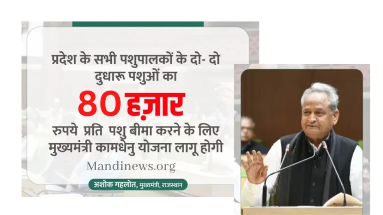 मुख्यमंत्री कामधेनु पशु बीमा योजना : 2 दुधारू पशुओ पर सरकार की और से 80 हजार का मुआवजा