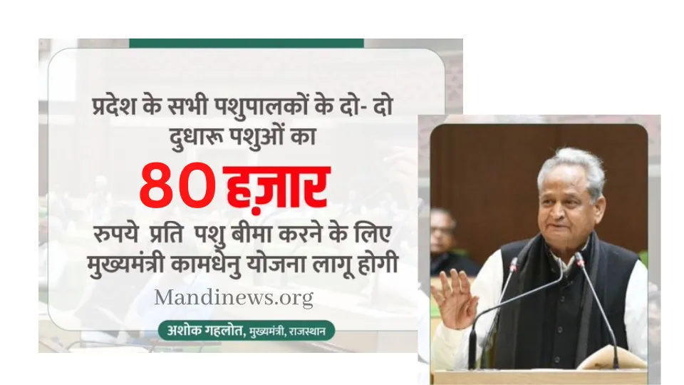 मुख्यमंत्री कामधेनु पशु बीमा योजना : 2 दुधारू पशुओ पर सरकार की और से 80 हजार का मुआवजा