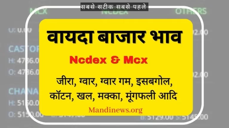 वायदा बाजार भाव 01 दिसंबर 2023 : खल, कॉटन और कपास के भाव तेज, MCX में चांदी और सोने भाव तेज