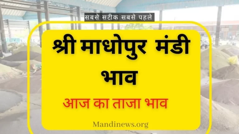 श्रीमाधोपुर मंडी 29 जून 2023 : अनाजो का ताजा भाव रिपोर्ट