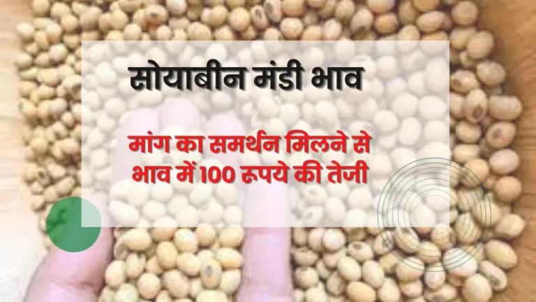 सोयाबीन भाव 29 जून 2023: निरंतर बढती मांग से भाव में 100 रूपये कि तेजी, पूरी रिपोर्ट देखे