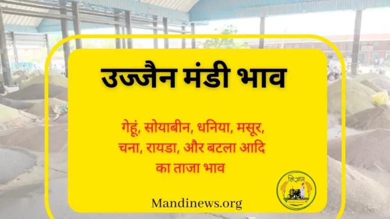 उज्जैन मंडी 03 जुलाई 2023: अनाजो के ताजा भाव रिपोर्ट