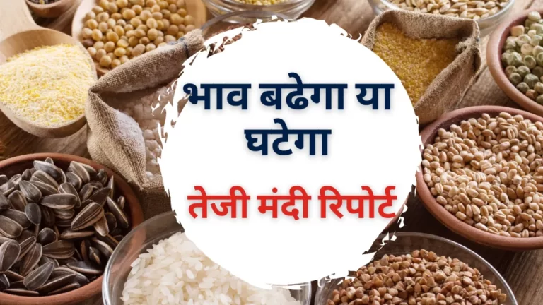 तेजी मंदी रिपोर्ट 2023: जाने  तेजी-मंदी की स्टिक जानकारी देखे रिपोर्ट