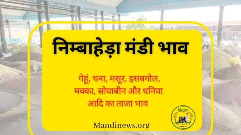 निम्बाहेड़ा मंडी 22 जुलाई 2023: किनोवा भाव में तेजी अन्य अनाजो का ताजा मंडी भाव