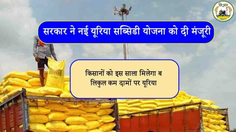 किसानों को इस साला मिलेगा बिलकुल कम दामों पर यूरिया, सरकार ने नई यूरिया सब्सिडी योजना को दी मंजूरी, देखे इसके फायदे