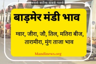 बाड़मेर मंडी भाव