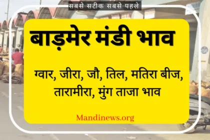 बाड़मेर मंडी भाव