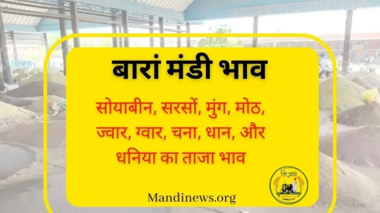बारां मंडी 04 मार्च 2024: अनाजो का ताजा भाव रिपोर्ट और भावो की पर्ची देखे