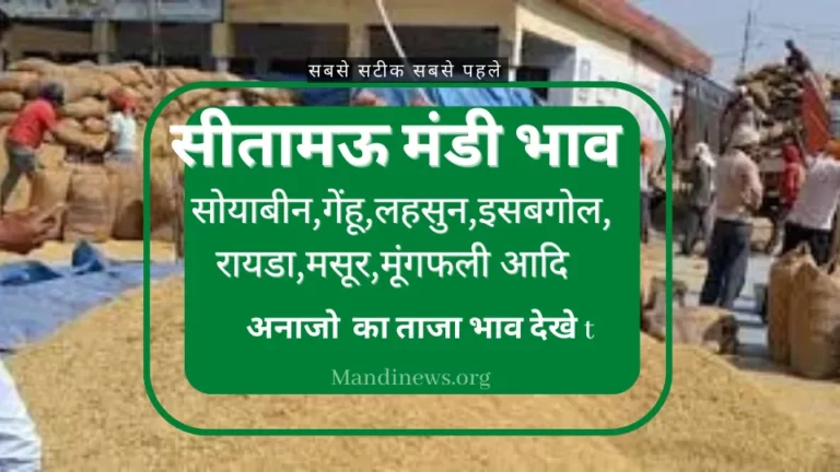 सीतामऊ मंडी 22 जुलाई 2023: अनाजो के ताजा भाव रिपोर्ट