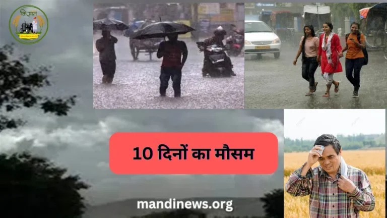 मानसून हुआ मेहरबान, आज मानसून का पूरे राज्य में छा जाने का अनुमान, आज 11 जिलों में होगी भारी बारिश…