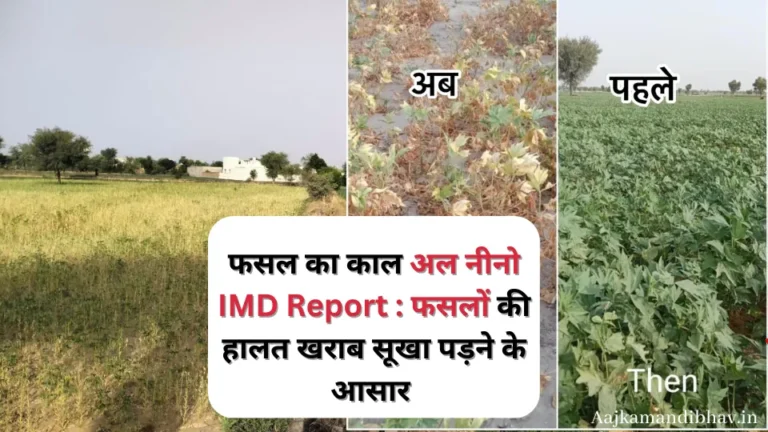 IMD Report – फसलों की हालत खराब सूखा पड़ने के आसार 😒👇