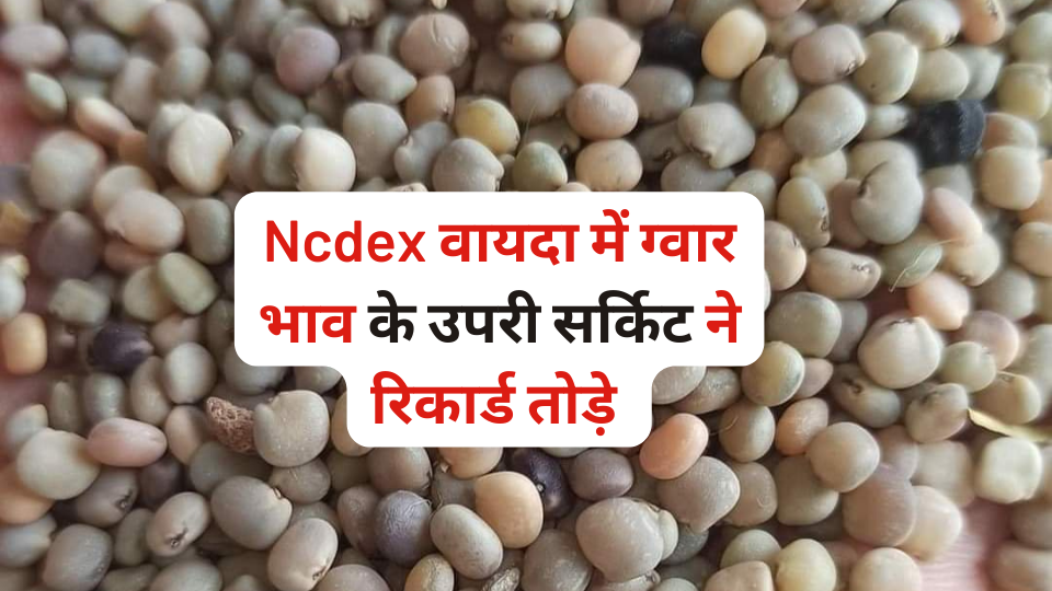 NCDEX वायदा भाव 19 अक्टूबर 2023, ग्वार जीरा धनिया अरंडी सोना चांदी बाजार  भाव, MCX market - Mandi Bazar Bhav