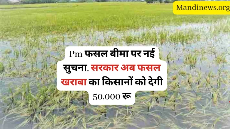 Pm फसल बीमा पर नई सुचना, सरकार अब फसल खराबा का किसानों को देगी 50,000 रू
