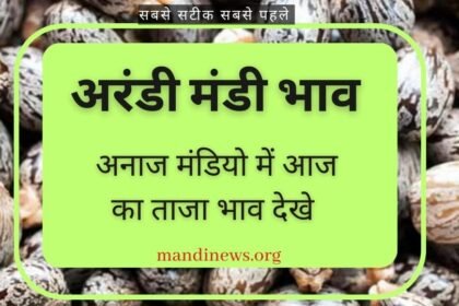 अरंडी मंडी भाव