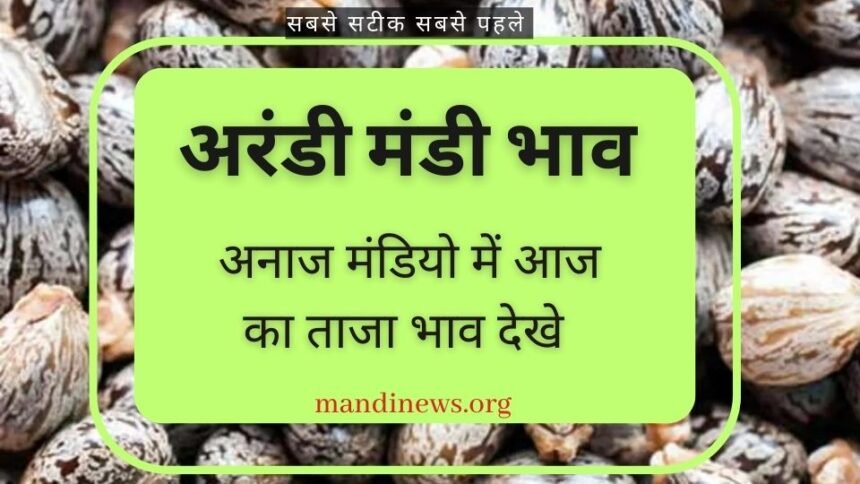 अरंडी मंडी भाव