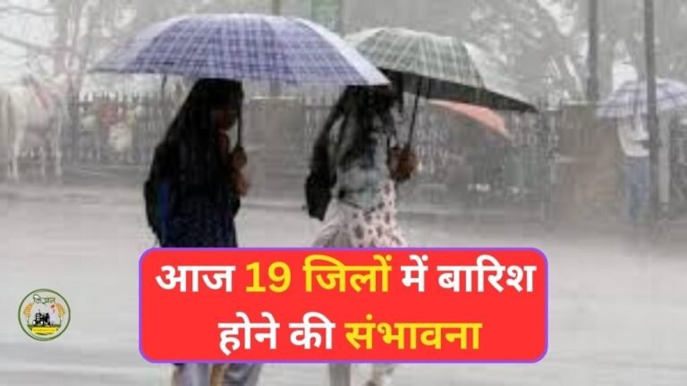 मानसून ने फिर से पकड़ी रफ़्तार, आज 19 जिलों में बारिश होने की संभवाना
