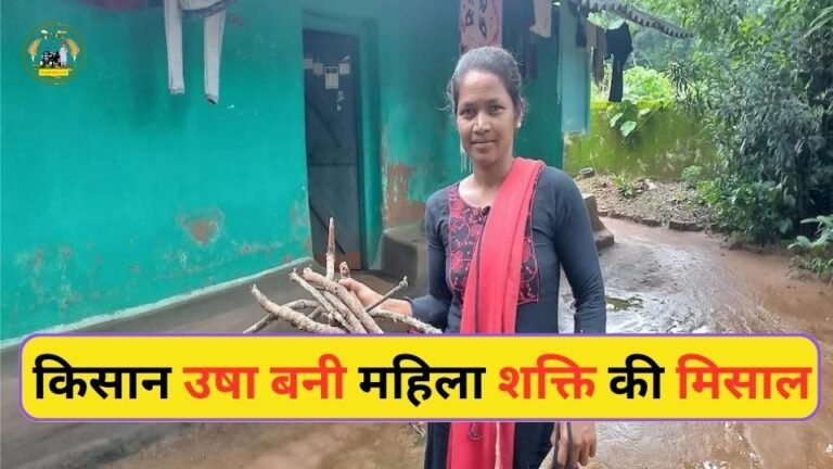 किसान उषा बनी महिला शक्ति की मिसाल, जाने लखपति दीदी उषा का सफर