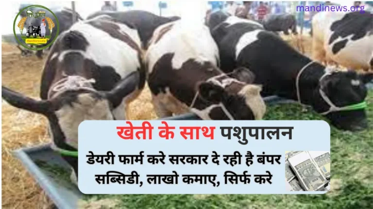 खेती के साथ पशुपालन : डेयरी फार्म करे सरकार दे रही है बंपर सब्सिडी, लाखो कमाए, सिर्फ करे…
