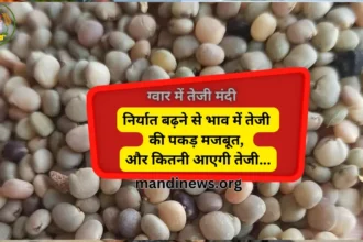 ग्वार में तेजी मंदी