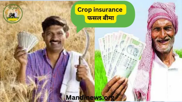 Crop insurance फसल बीमा: जल्द ही आएगी किसानो के खाते में बीमा क्लेम की करोड़ो रूपये की राशि देखे रिपोर्ट…