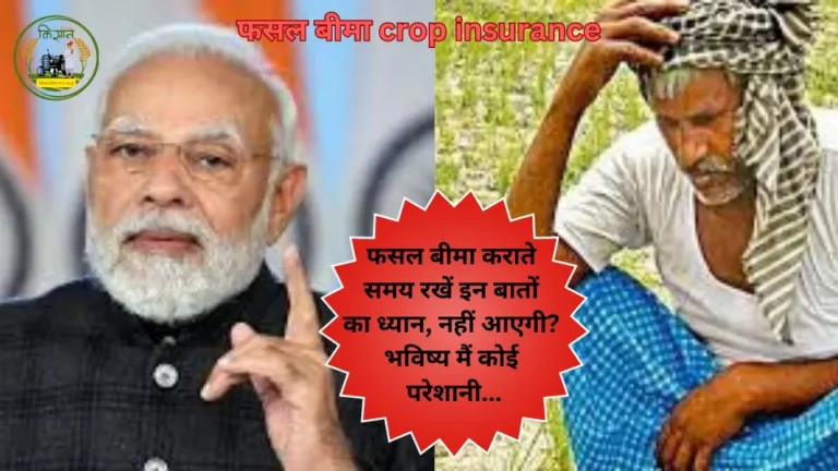 फसल बीमा कराते समय रखें इन बातों का ध्यान, नहीं आएगी? भविष्य मैं कोई परेशानी…