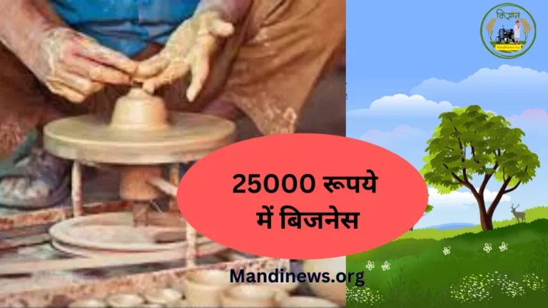 25000 रूपये का बिजनेस: आवारा फिरने से अच्छा है 25000 रूपये की मशीन लाओ और 1200 रुपए प्रतिदिन कमाओ…