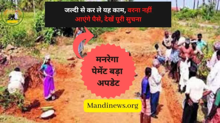 मनरेगा पेमेंट बड़ा अपडेट : जल्दी से कर ले यह काम, वरना नहीं आएंगे पैसे, देखें पूरी सुचना….