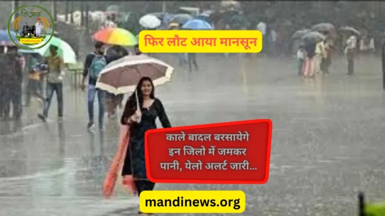 फिर लौट आया मानसून: काले बादल बरसायेगे इन जिलो में जमकर पानी, येलो अलर्ट जारी…