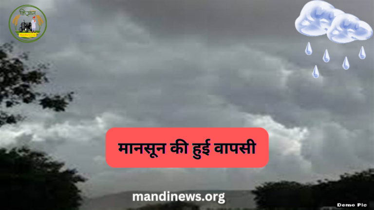 मानसून की हुई वापसी : इन जिलों में जमकर बरसेगा पानी, देखे आईएमडी की रिपोर्ट