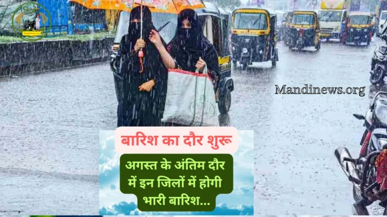 बारिश का दौर शुरू: अगस्त के अंतिम दौर में इन जिलों में होगी भारी बारिश…