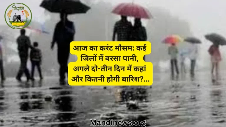 आज का करंट मौसम: कई जिलों में बरसा पानी, अगले दो-तीन दिन में कहां और कितनी होगी बारिश?…