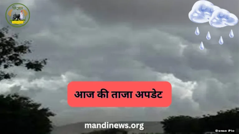 आज की ताजा अपडेट : 11 जिलों में बारिश का येलो अलर्ट, गरज व चमक के साथ काले मेघ..