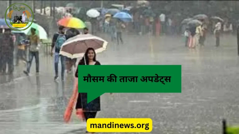 मौसम की ताजा अपडेट्स: तेज धुप, छाये रहेंगे बादल, इन 02 सभांगो में हो सकती है जोरदार बारिस… 