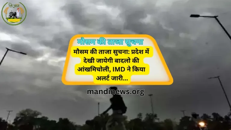 मौसम की ताजा सुचना: प्रदेश में देखी जायेगी बादलो की आंखमिचोली, IMD ने किया अलर्ट जारी…