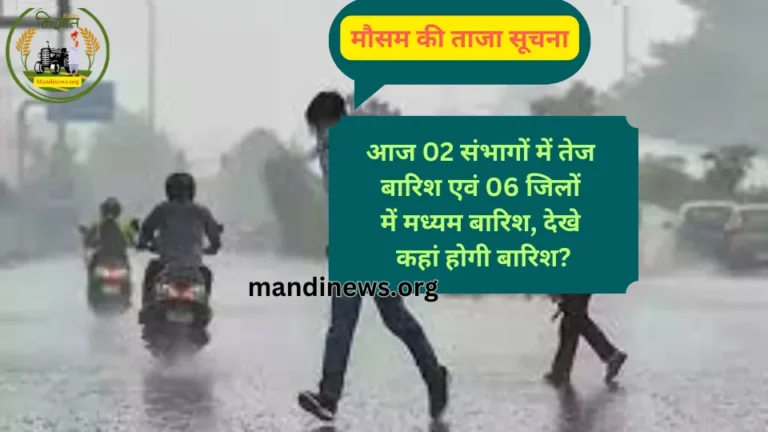 मौसम की ताजा सूचना: आज 02 संभागों में तेज एवं 06 जिलों में मध्यम बारिश, देखे कहां होगी बारिश?