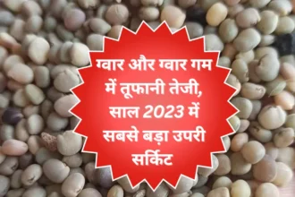 वायदा बाजार भाव आज का ताजा