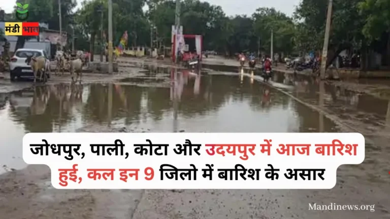 Weather Update : जोधपुर, पाली, कोटा और उदयपुर में आज बारिश हुई, कल इन 9 जिलो में बारिश के असार